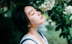 又黄又爽又无遮挡在线观看免费